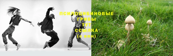 a pvp Гусев