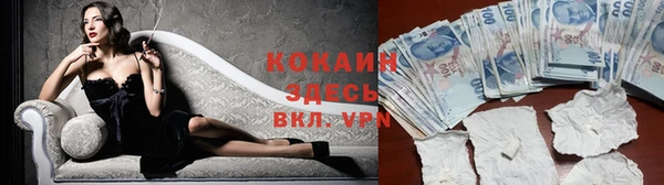 a pvp Гусев