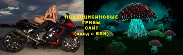 apvp Гусь-Хрустальный
