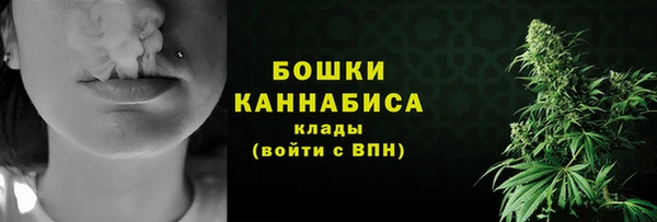 apvp Гусь-Хрустальный