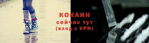 a pvp Гусев