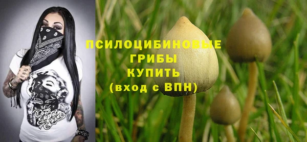 метамфетамин Гусиноозёрск