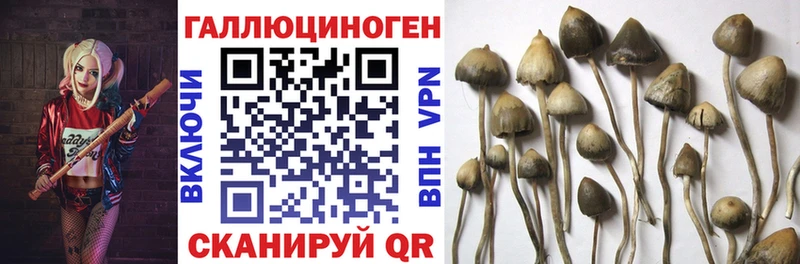 Псилоцибиновые грибы ЛСД  Власиха 